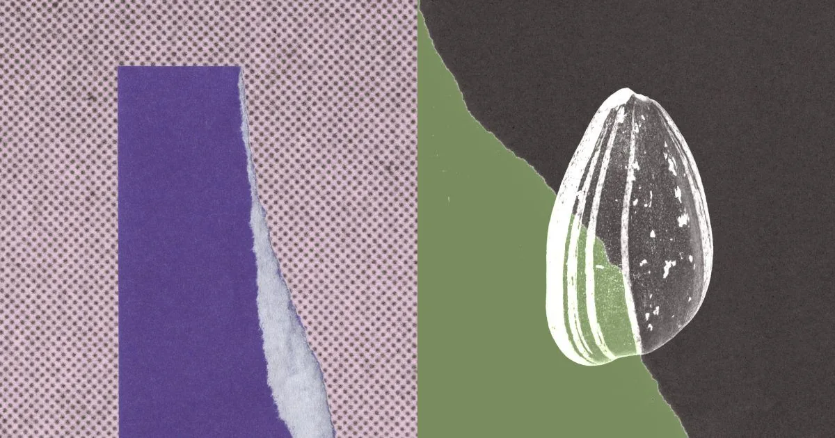 Visuel officiel Anthropic pour « ECDSA : Claude retrace l’origine de graines de courbes NIST »
